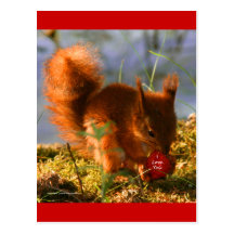 Je t'aime fraise carte postale