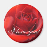 "Je t'aime" roses Magnets