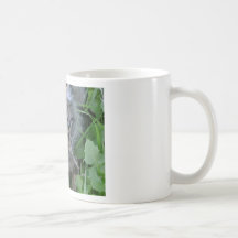 Jebediah ! mugs
