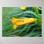 Jeune copie de ~ de mante poster