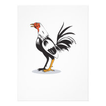 Jeune coq de coq rétro faire-part personnalisé