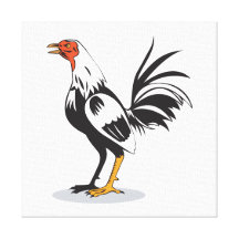 Jeune coq de coq rétro toiles tendues