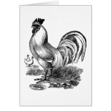 Jeune coq vintage de coq d'impression antique carte de vœux