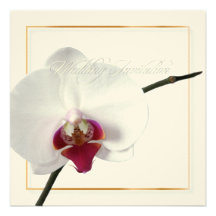 Jeune mariée pipe% parfaite blanche de l'orchidée  invitation