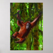 Jeune orang-outan en affiche d'art de faune de jun