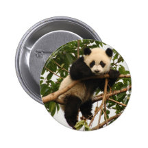 Jeune panda géant badge