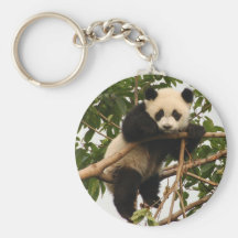Jeune panda géant porte-clés