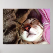 Jeune prince Dreaming Affiche