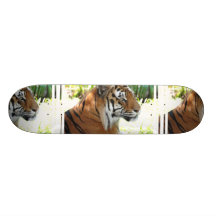 Jeune tigre planches à roulettes