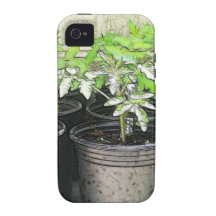 Jeunes plantes de tomate dans des pots de crèche coque iPhone 4/4S