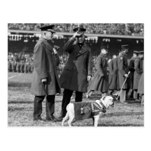 Jiggs sait le football : 1923 cartes postales