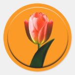 Joint d'enveloppe de tulipe autocollants