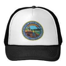 Joint d'état du Minnesota Casquette