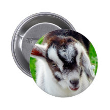 Joli enfant de chèvre badge