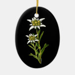 Joli ornement d'edelweiss