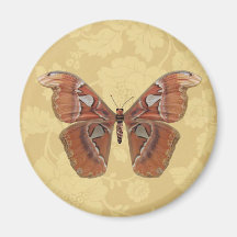 Joli papillon de Brown sur floral beige vintage Aimant Pour Réfrigérateur