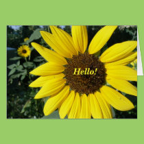 Joli tournesol cartes