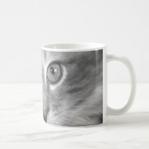jolie tasse de chaton