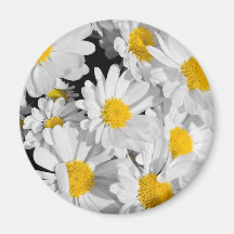 Jolies marguerites aimants pour réfrigérateur