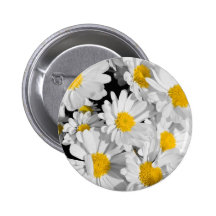 Jolies marguerites badge avec épingle