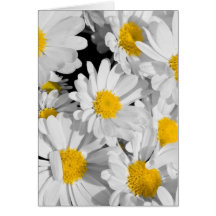 Jolies marguerites cartes de vœux
