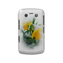 Jonquilles dans la caisse de neige coque blackberry