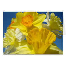 Jonquilles de cartes de voeux de fleurs de jonquil