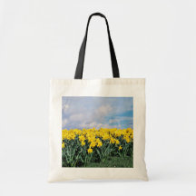 Jonquilles de ressort, Shrewsbury, Shropshire, Ang Sacs En Toile
