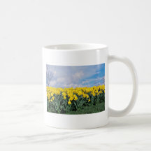 Jonquilles de ressort, Shrewsbury, Shropshire, Ang Mug