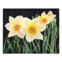 Jonquils - copie d'art de fleur photos sur toile