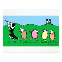 Joueur de pipeau pie de border collie faire-parts