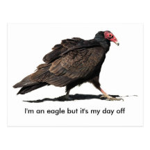 JOUR DE CONGÉ D'EAGLE CARTE POSTALE