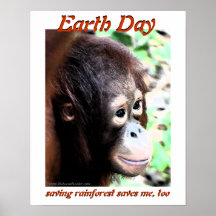 Jour de la terre posters
