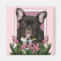 Jour de mères - tulipes roses - bouledogue françai magnets pour réfrigérateur