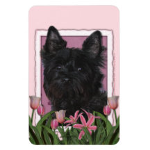 Jour de mères - tulipes roses - cairn Terrier - Ro Magnets Souples