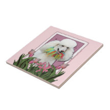 Jour de mères - tulipes roses - caniche - blanc carreaux