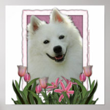 Jour de mères - tulipes roses - Esquimau américain Affiches
