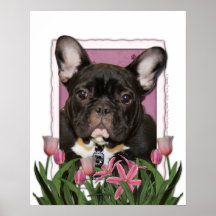 Jour de mères - tulipes roses - Frenchie - Teal Posters