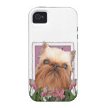 Jour de mères - tulipes roses - griffon de Bruxell iPhone 4 Case