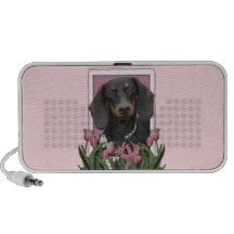 Jour de mères - tulipes roses - teckel - Winston Haut-parleurs iPod