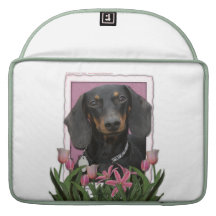 Jour de mères - tulipes roses - teckel - Winston Poche Pour Macbook