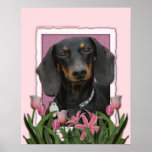 Jour de mères - tulipes roses - teckel - Winston Posters