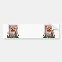 Jour de mères - tulipes roses - Yorkshire Terrier Autocollants Pour Voiture