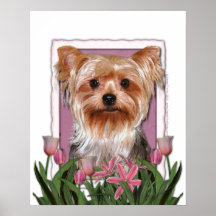 Jour de mères - tulipes roses - Yorkshire Terrier Poster