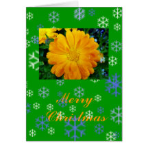 Joyeuse fleur de marguerite de Chriatmas Carte De Vœux
