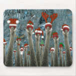 Joyeuses grues tapis de souris