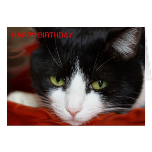 JOYEUX ANNIVERSAIRE CARTE