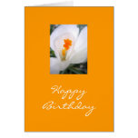 Joyeux anniversaire carte de vœux