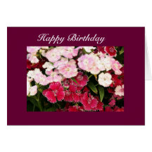 joyeux anniversaire cartes
