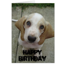 Joyeux anniversaire cartes de vœux
